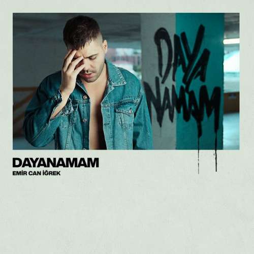 Dayanamam